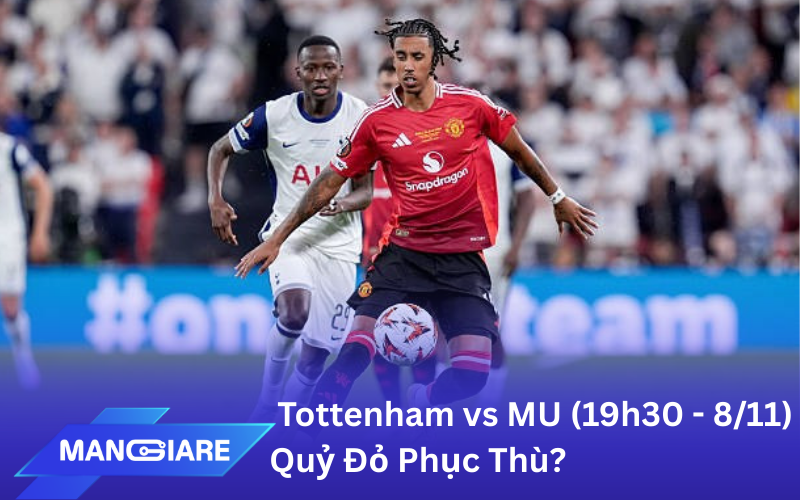 Nhận định Tottenham vs MU (19h30 - 8/11): Quỷ Đỏ Phục Thù?